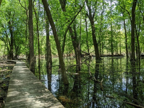 Manoir d'Youville image 16